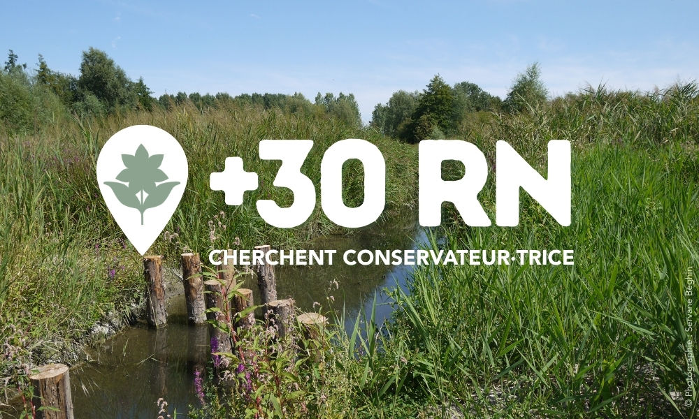 Adoptez une réserve naturelle : devenez conservateur ou conservatrice !