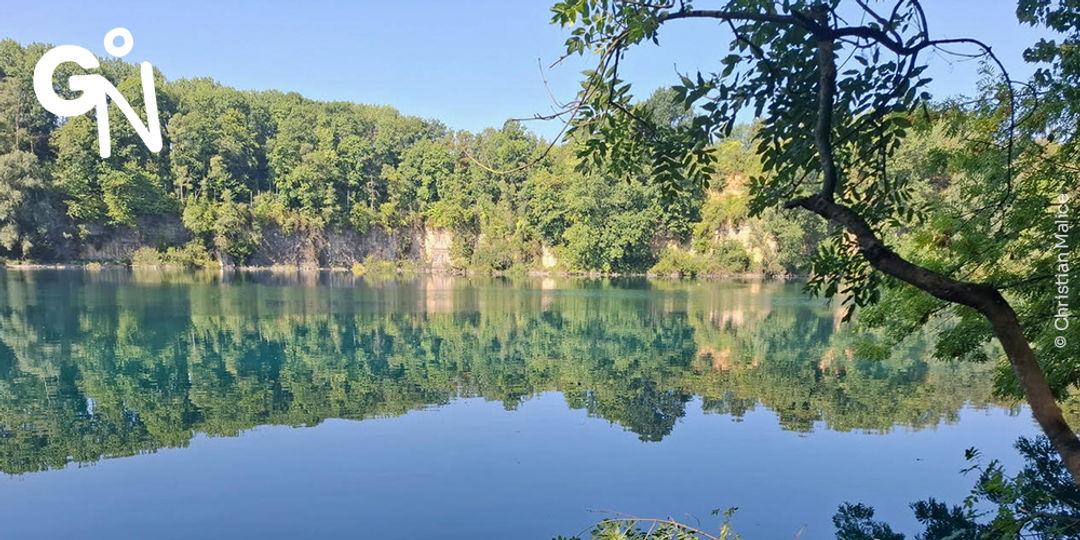 Découvrir la réserve naturelle de la Carrière Thorn