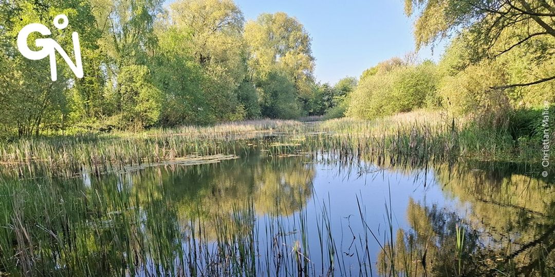 Découvrir la réserve naturelle de Pic au Vent