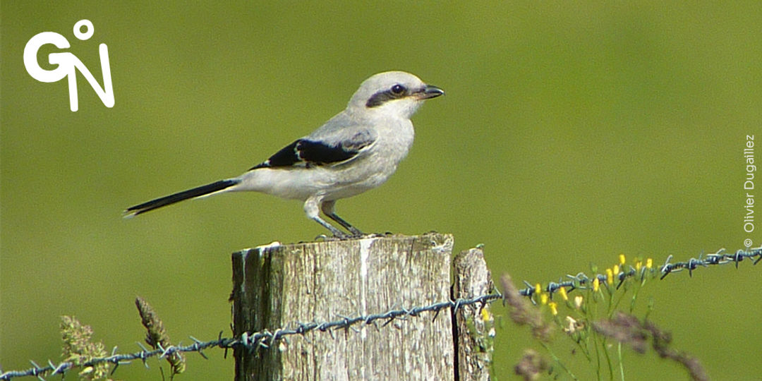 Découvrir la réserve naturelle de Bocogne