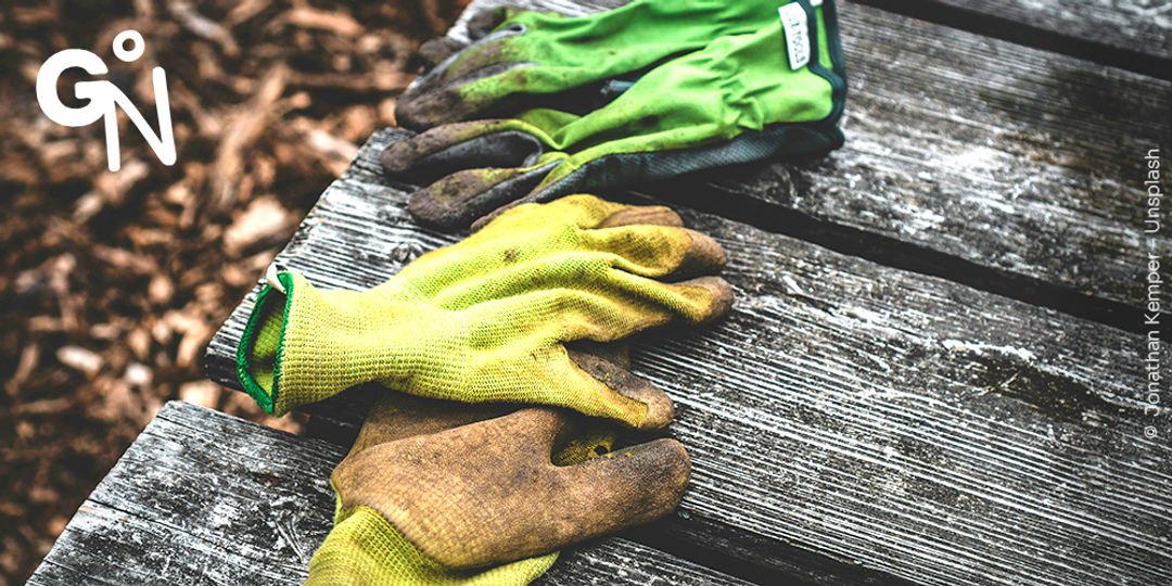 Découvrir la réserve naturelle du Bois d'Allain