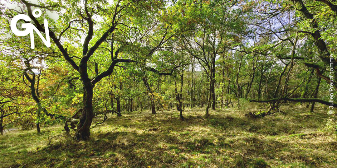 Découvrir la réserve naturelle de Colanhan
