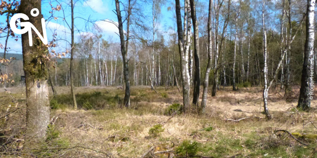 Réserve naturelle de l'Eau Rouge