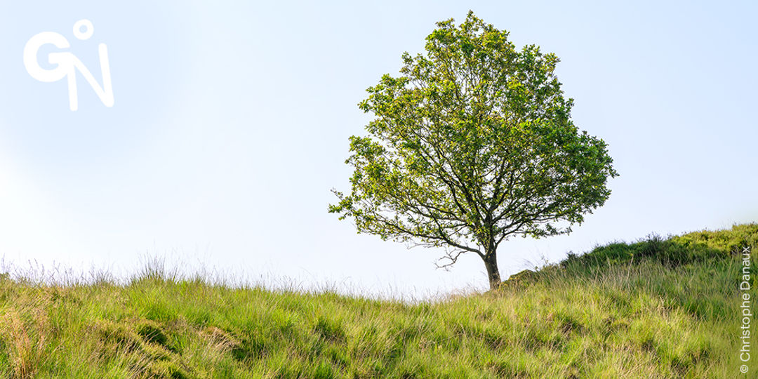 Réserve naturelle du Rocheux