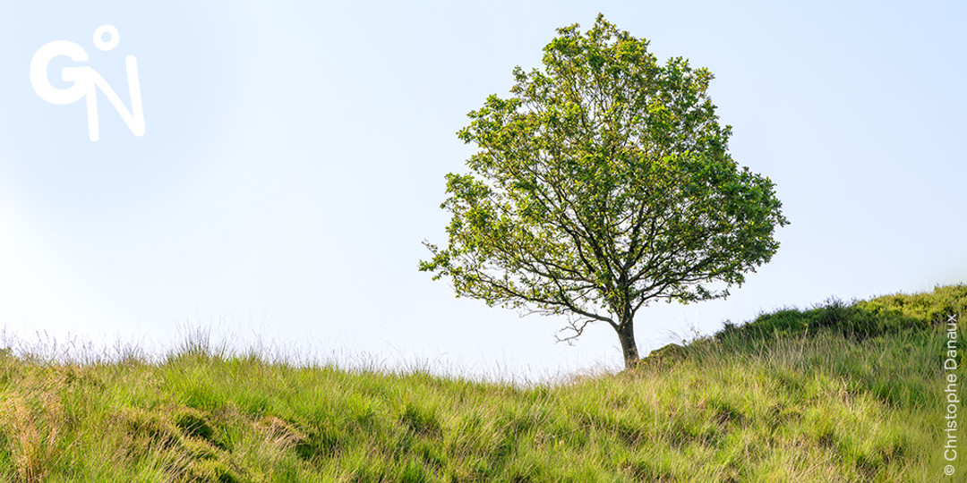 Réserve naturelle du Rocheux