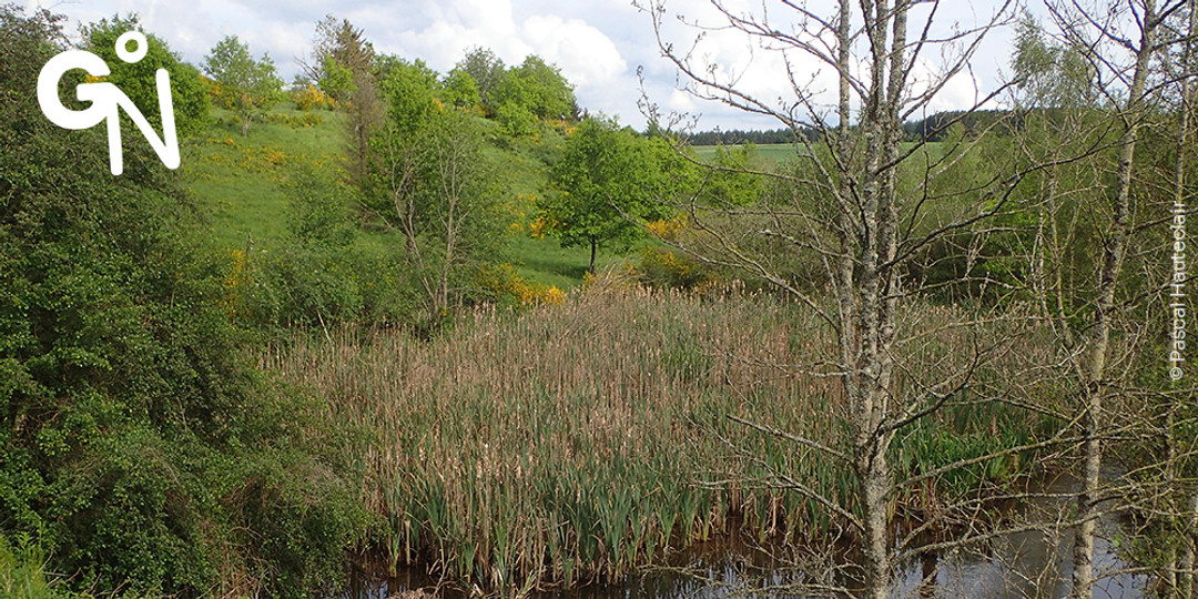 Réserve naturelle de l'Ourthe orientale