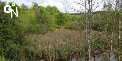 Réserve naturelle de l'Ourthe orientale