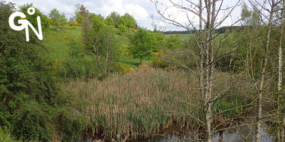 Réserve naturelle de l'Ourthe orientale