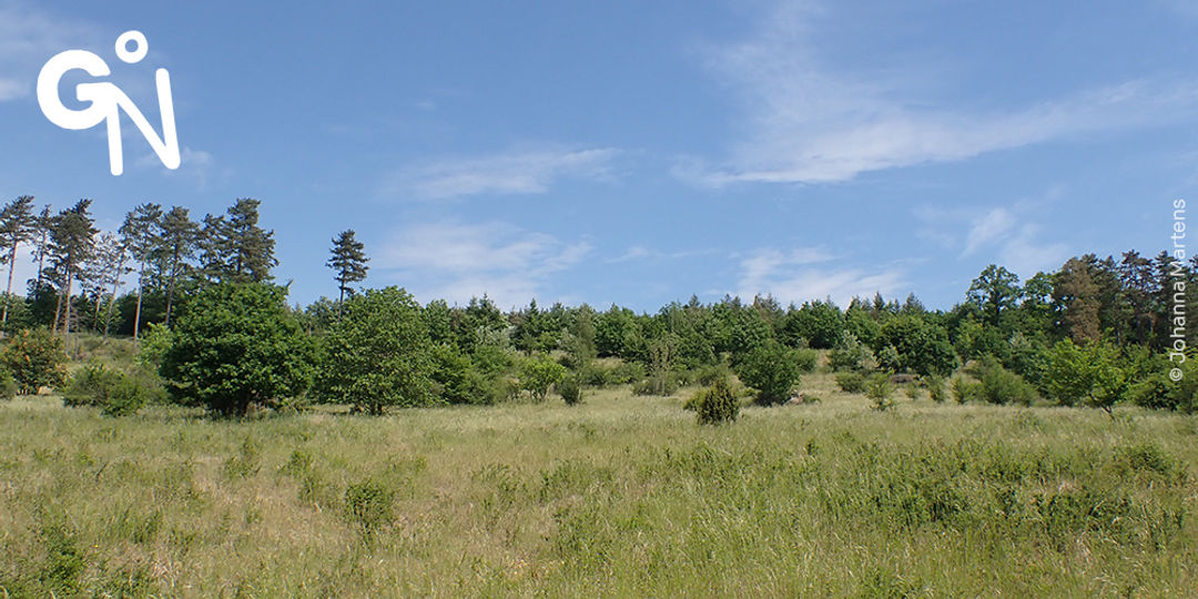 Réserve naturelle de la Tienne de Boton