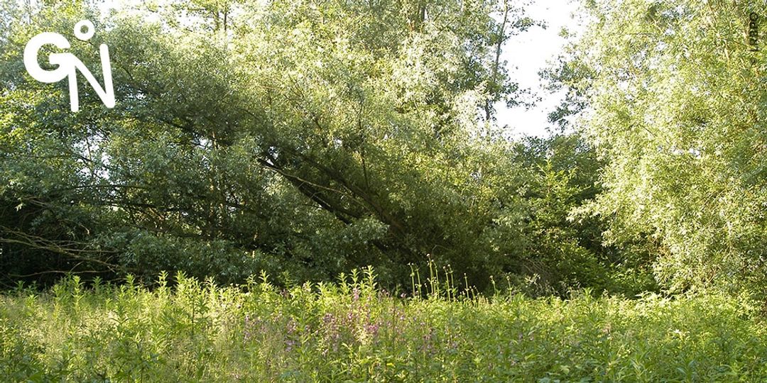Découvrir la réserve naturelle de la Jaucière