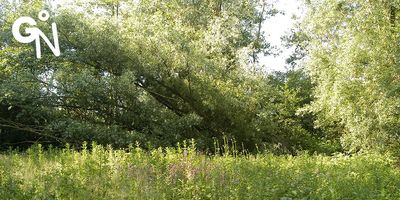 Découvrir la réserve naturelle de la Jaucière
