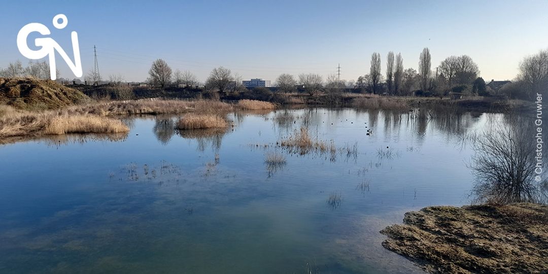 La future réserve naturelle de l’Argilière du Sterreberg