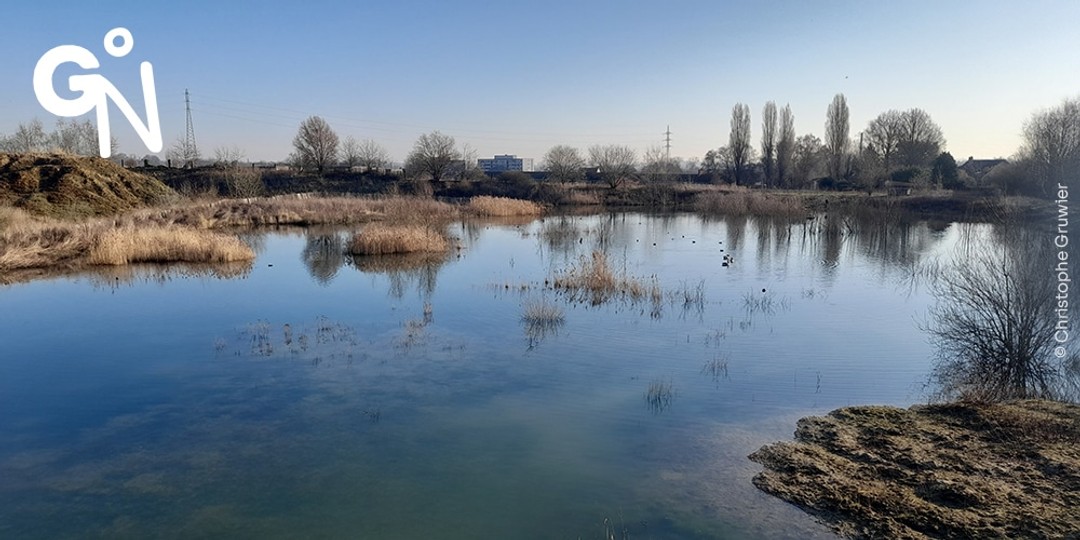 La future réserve naturelle de l’Argilière du Sterreberg