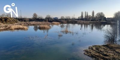 La future réserve naturelle de l’Argilière du Sterreberg