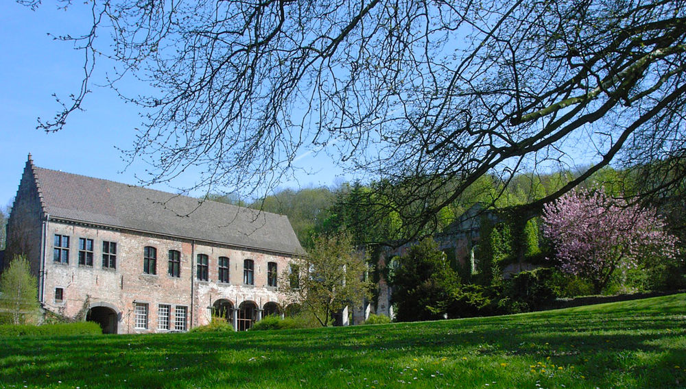 Appel à volontaires : participez au bioblitz de l’abbaye de Saint-Denis !