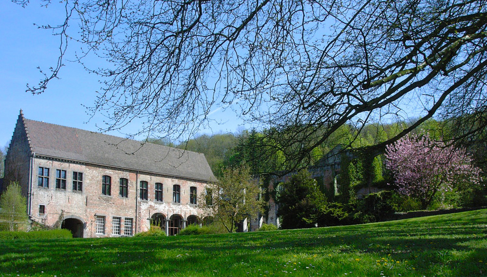 Appel à volontaires : participez au bioblitz de l’abbaye de Saint-Denis !