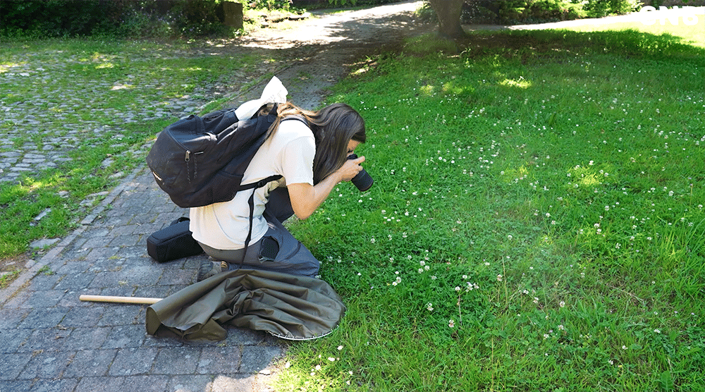 C’est quoi un bioblitz ? Reportage à l’Abbaye Saint-Denis avec les CNB