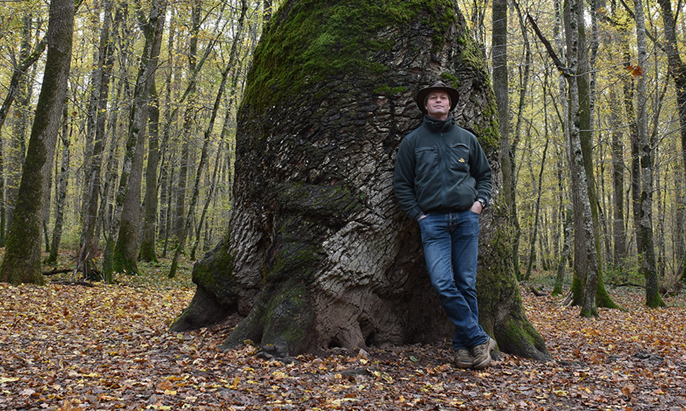La difficile résilience des forêts expliquée par Frederik Vaes