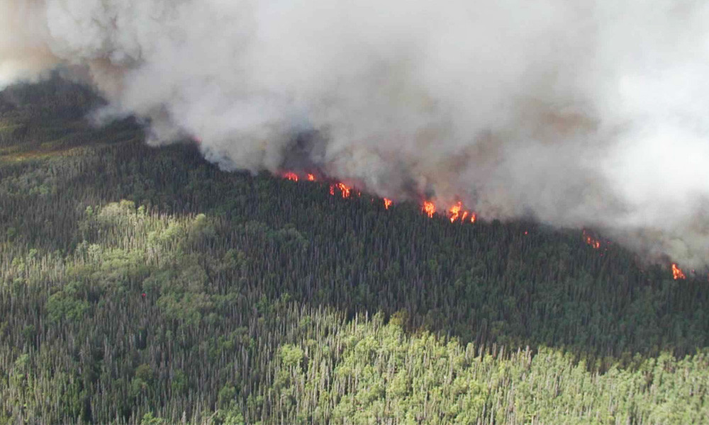 Comprendre l’incendie qui ravage les Hautes Fagnes