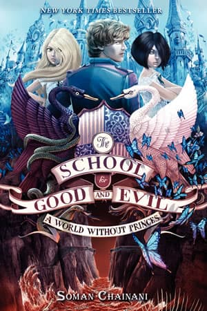 A World Without PrincesBook Cover