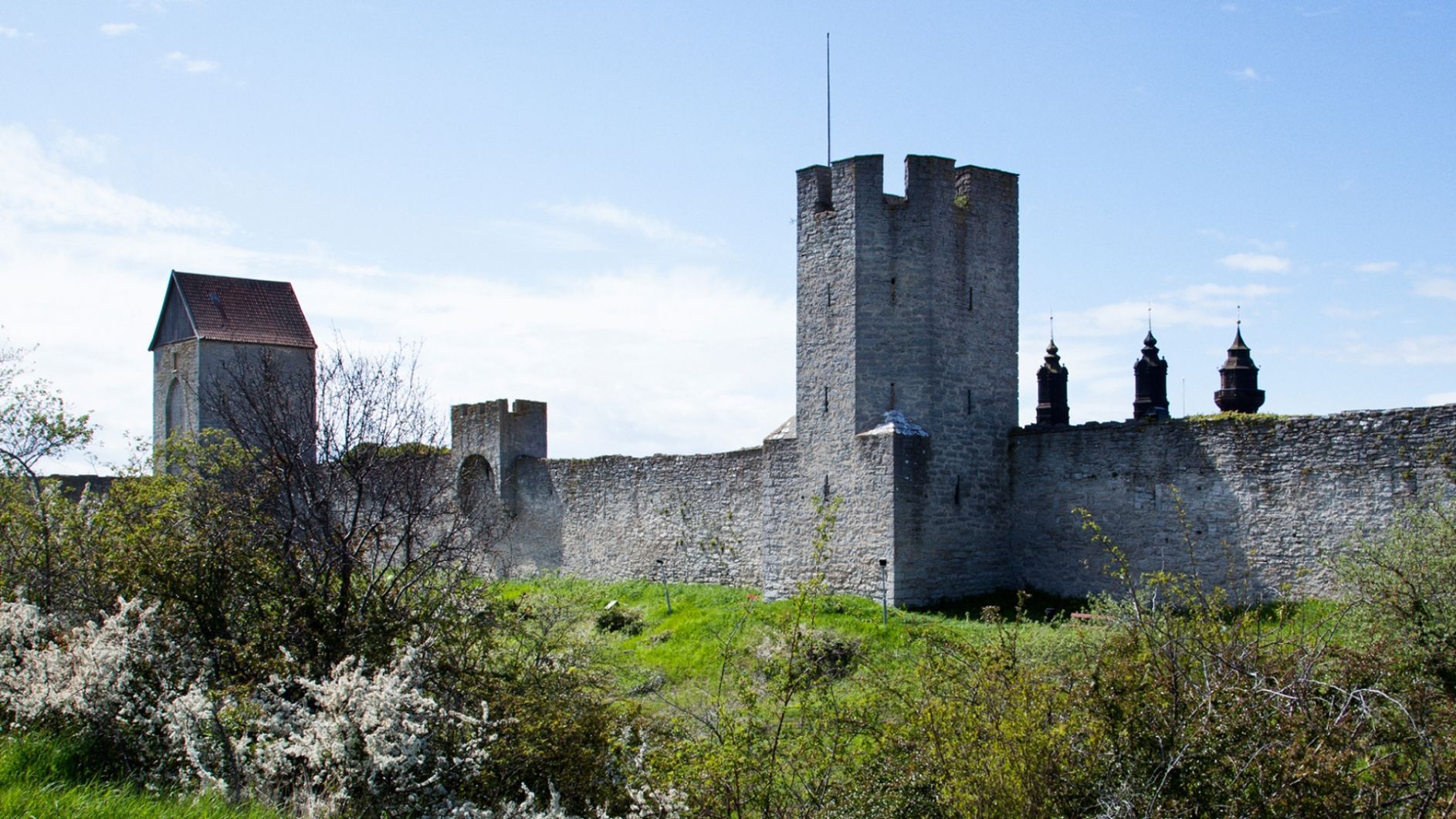 Nördvisning – Runinskrifter på Gotland