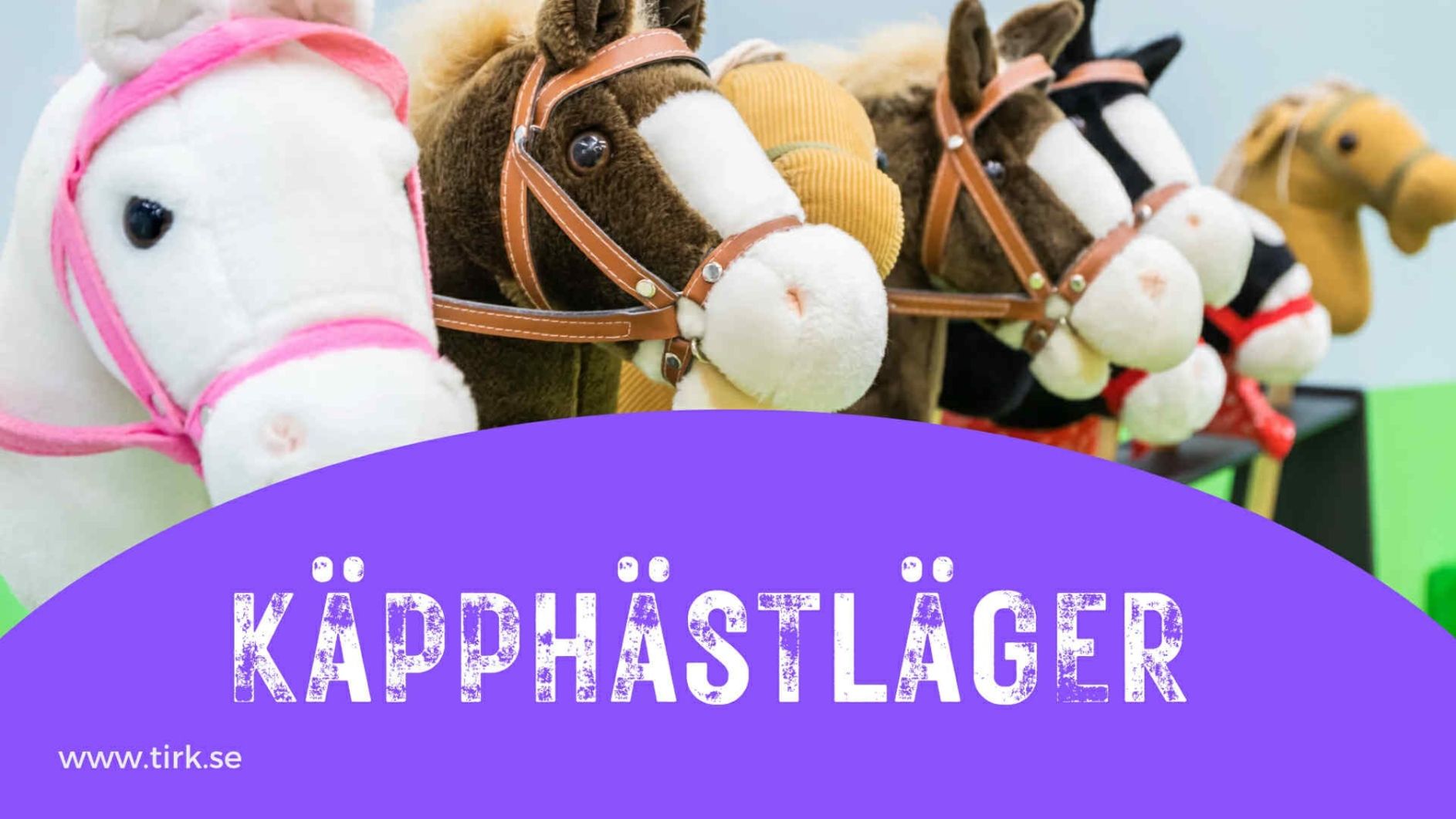 Käpphästläger med övernattning