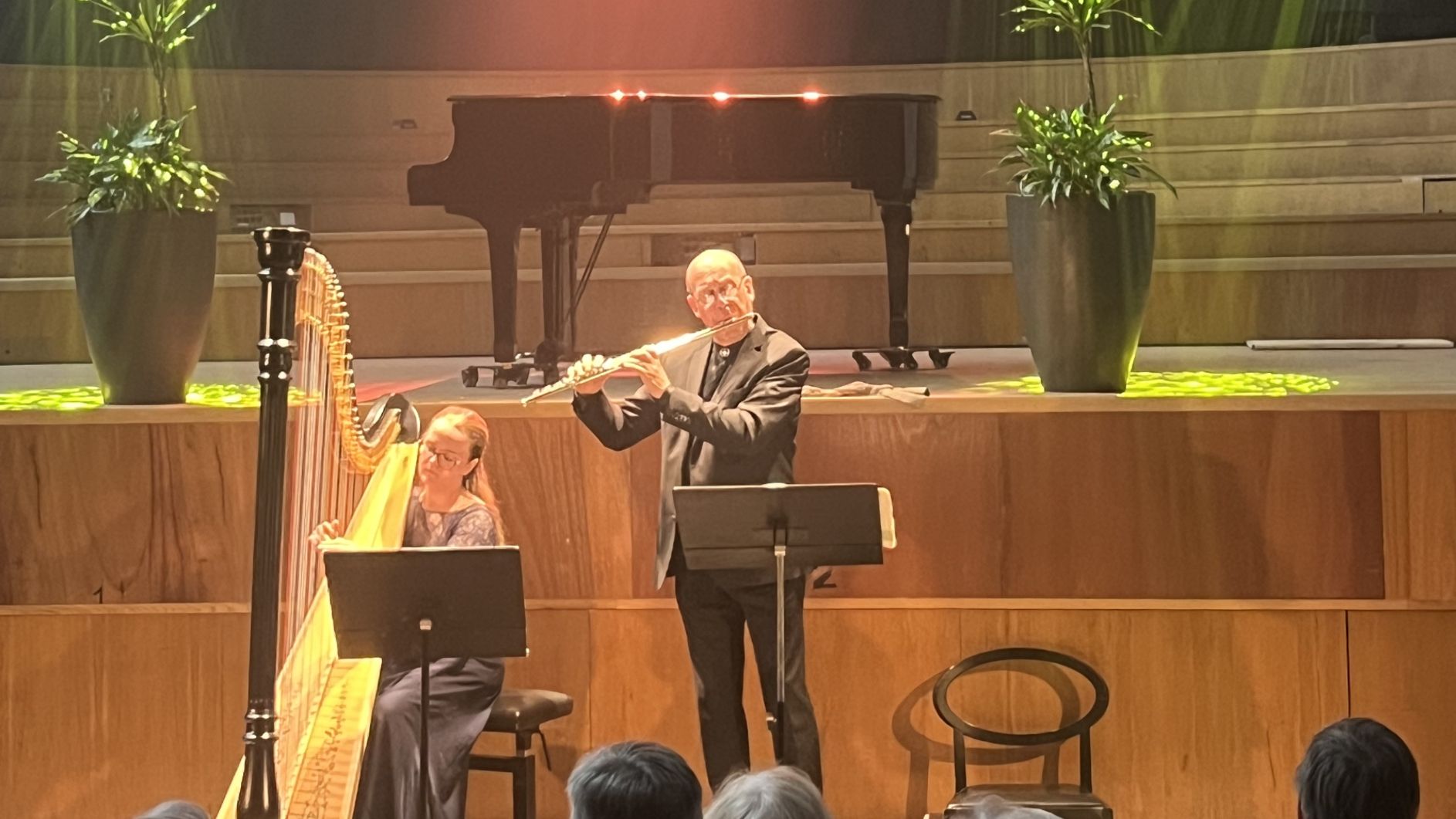 Konsert - "Dimman lättar", kammarmusik med flöjt och harpa