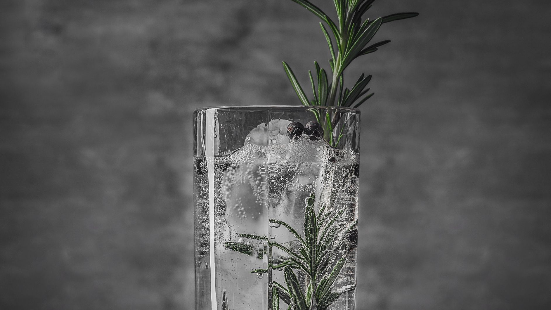 Gin & Tonicprovning