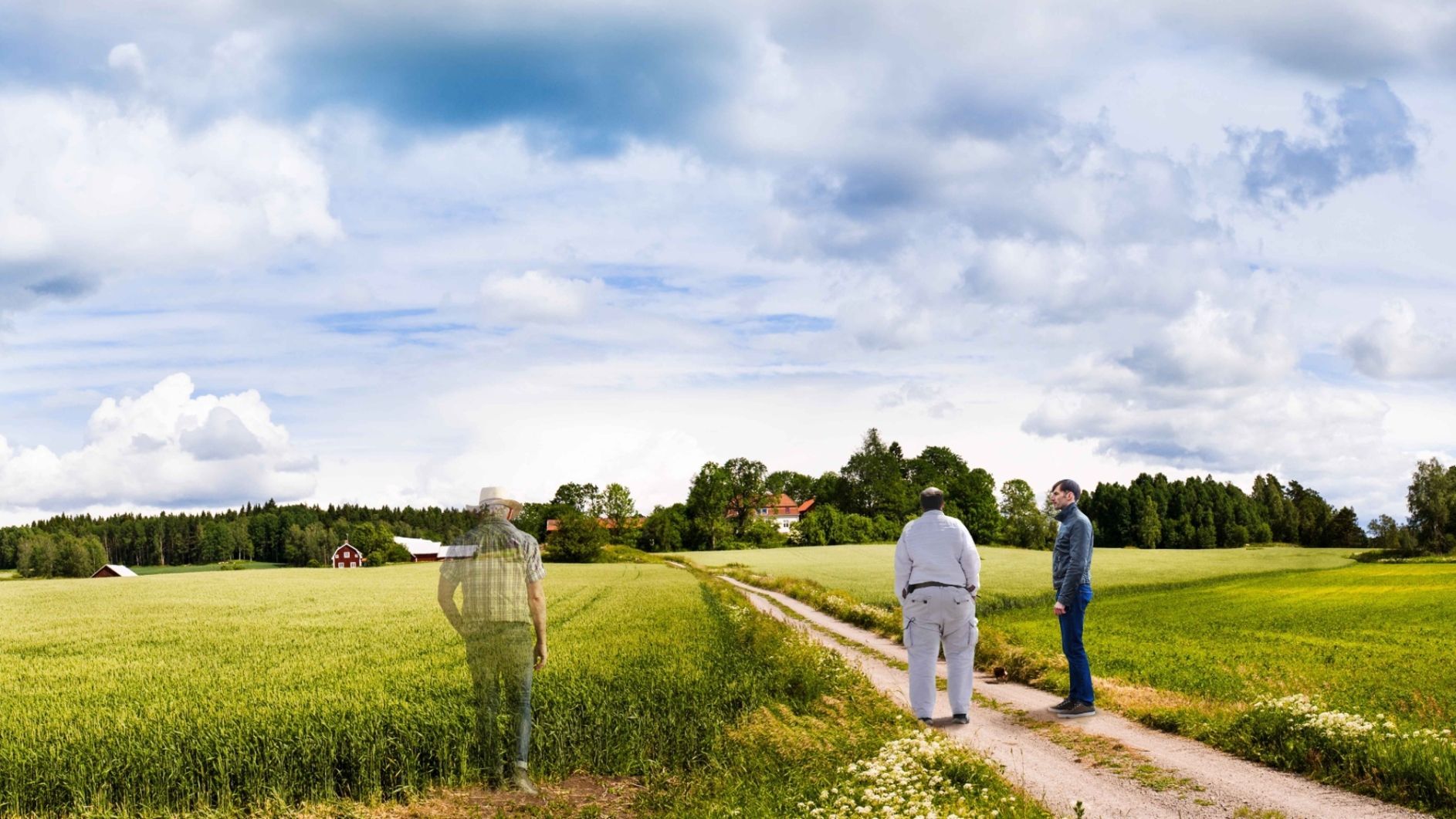 Torsson 50 år