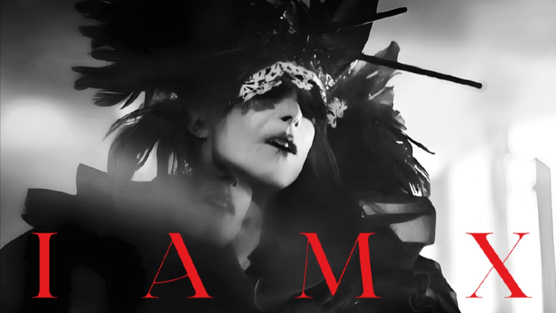 IAMX + Aux Animaux