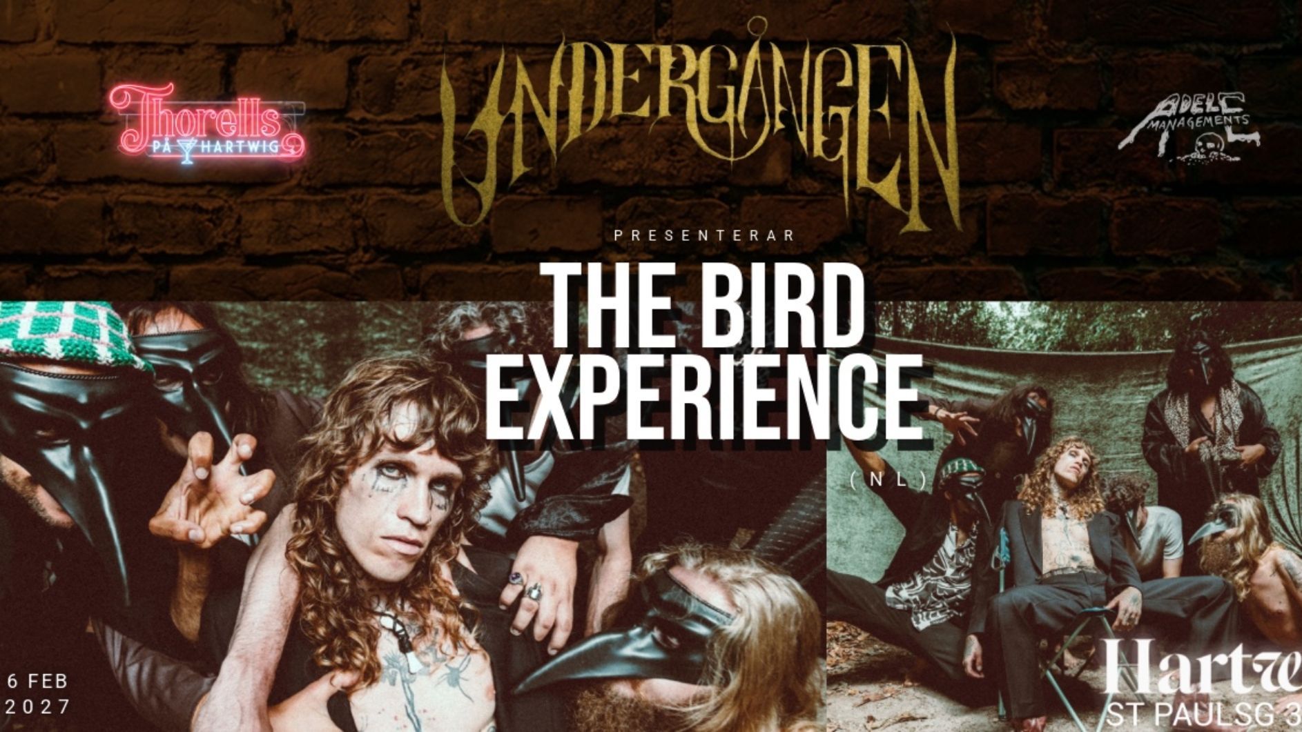 The Bird Experience (NL)