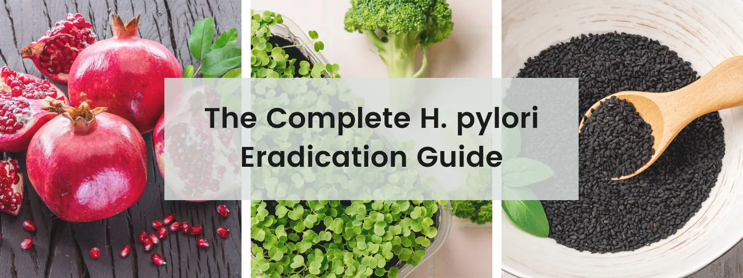 H. Pylori Eradication Guide Cover