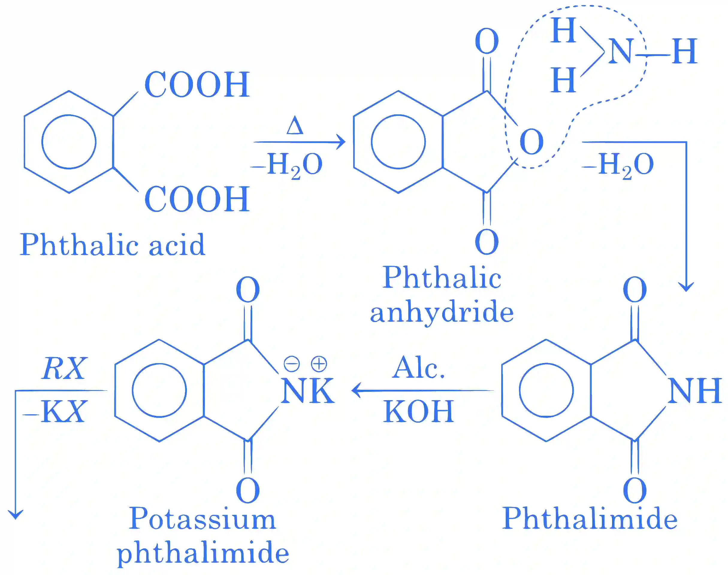 JEE Main 2020 (Online) 6th September Evening Slot Chemistry - Compounds Containing Nitrogen Question 154 English Explanation 1