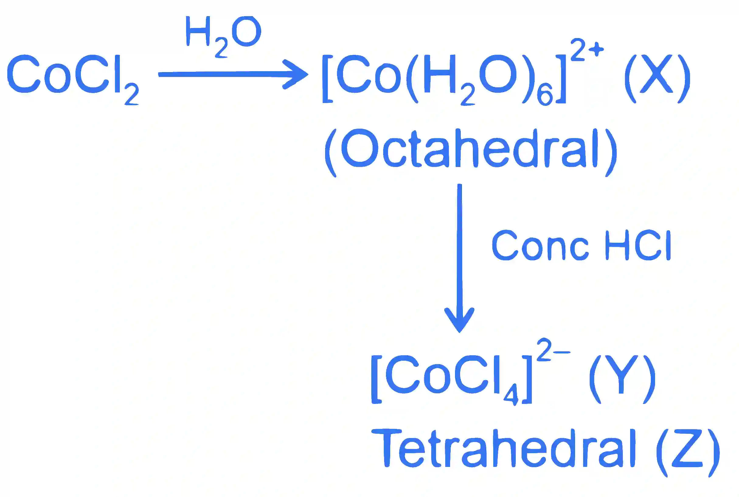 JEE Main 2023 (Online) 31st January Morning Shift Chemistry - Coordination Compounds Question 107 English Explanation