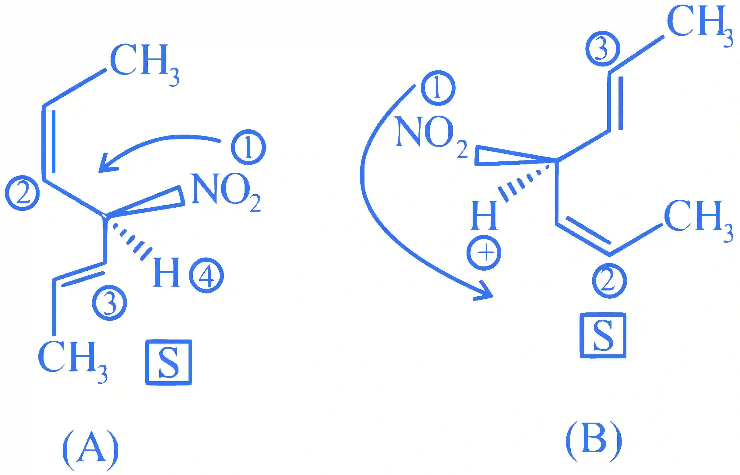 JEE Main 2022 (Online) 29th July Evening Shift Chemistry - Basics of Organic Chemistry Question 99 English Explanation