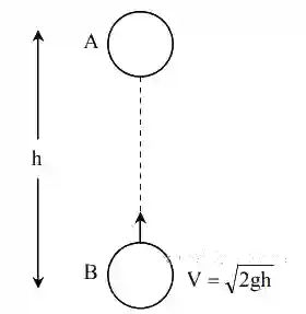 JEE Main 2020 (Online) 8th January Evening Slot Physics - Center of Mass and Collision Question 77 English Explanation