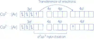 JEE Main 2021 (Online) 20th July Morning Shift Chemistry - Coordination Compounds Question 168 English Explanation
