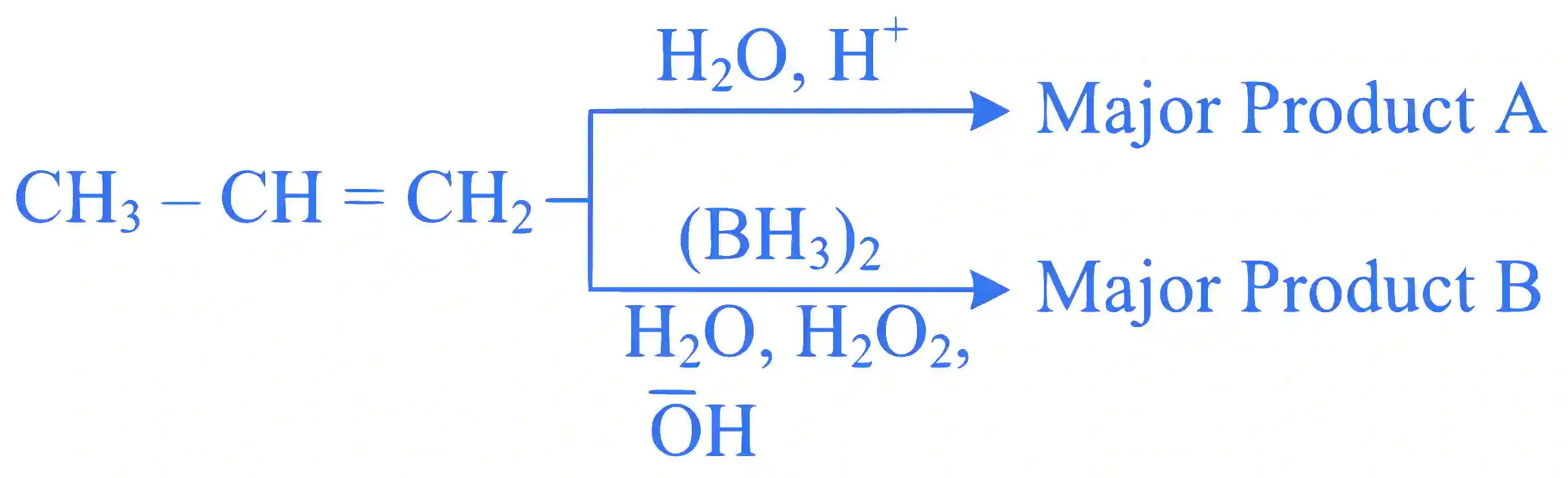 JEE Main 2024 (Online) 9th April Morning Shift Chemistry - Hydrocarbons Question 22 English