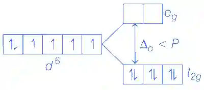 JEE Main 2021 (Online) 24th February Evening Shift Chemistry - Coordination Compounds Question 183 English Explanation 2
