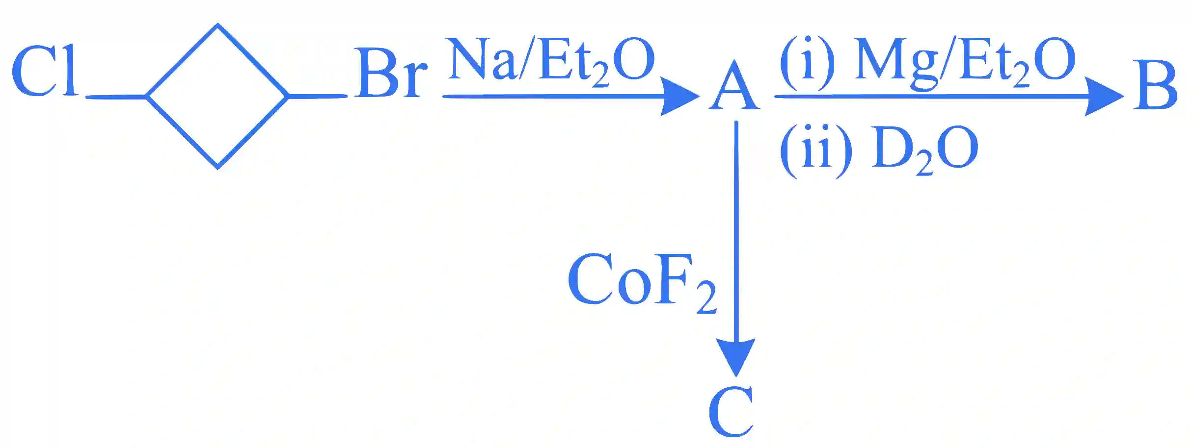JEE Main 2024 (Online) 9th April Morning Shift Chemistry - Haloalkanes and Haloarenes Question 21 English