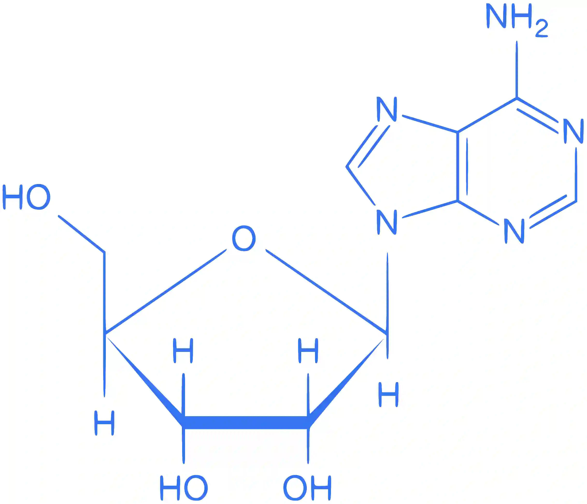 JEE Main 2018 (Online) 15th April Morning Slot Chemistry - Biomolecules Question 148 English Explanation
