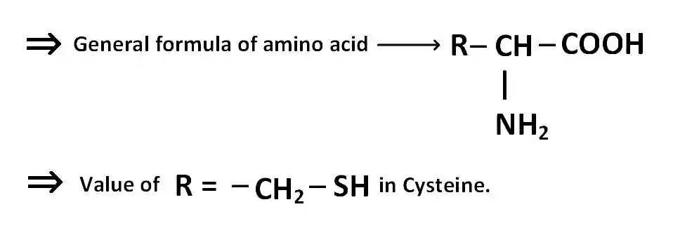 JEE Main 2016 (Offline) Chemistry - Biomolecules Question 170 English Explanation