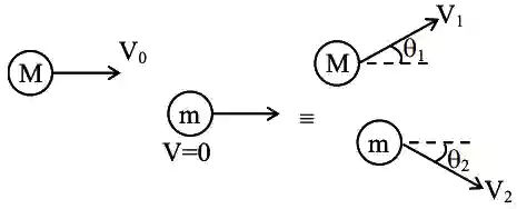 JEE Main 2021 (Online) 31st August Morning Shift Physics - Center of Mass and Collision Question 43 English Explanation