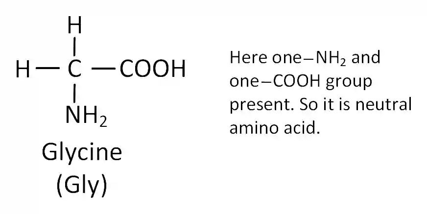 JEE Main 2019 (Online) 9th January Morning Slot Chemistry - Biomolecules Question 141 English Explanation 1
