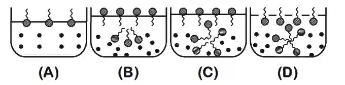 JEE Main 2020 (Online) 5th September Morning Slot Chemistry - Surface Chemistry Question 70 English