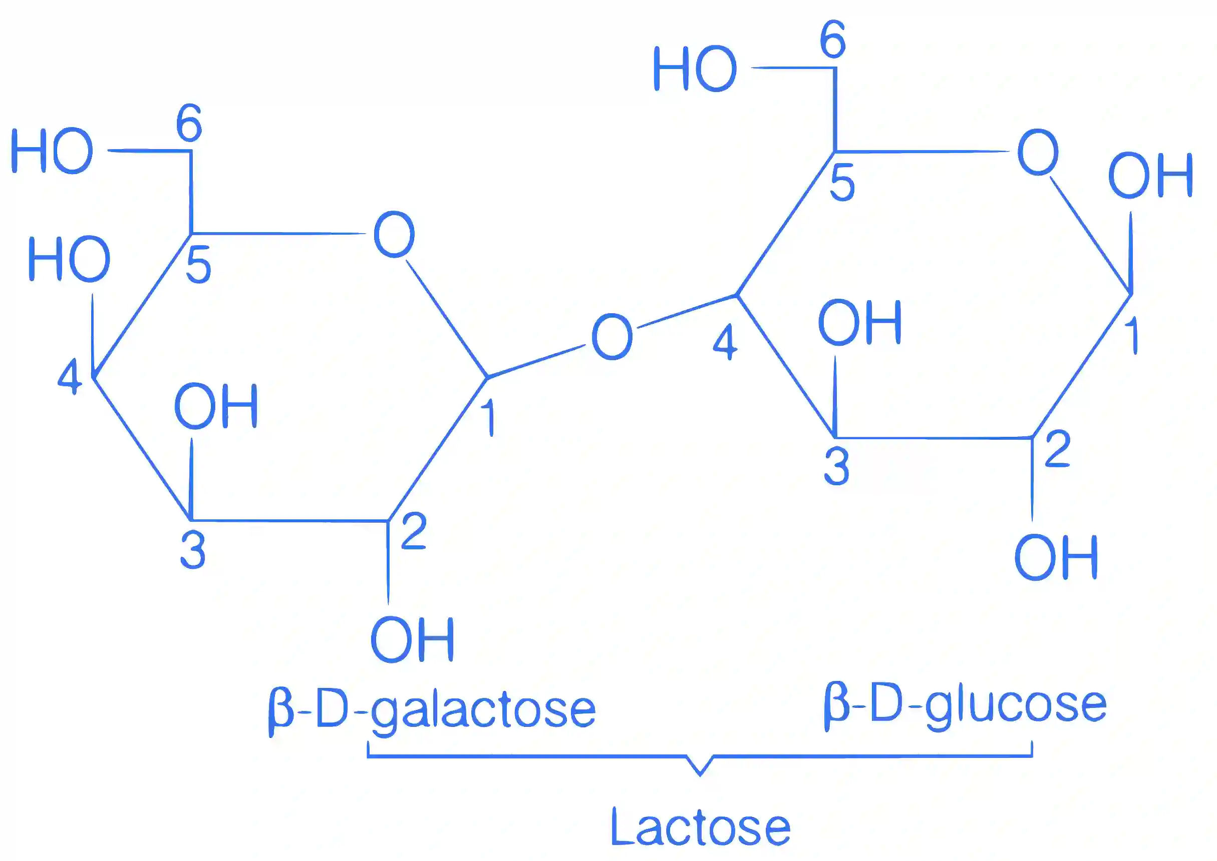 JEE Main 2021 (Online) 25th February Morning Shift Chemistry - Biomolecules Question 107 English Explanation