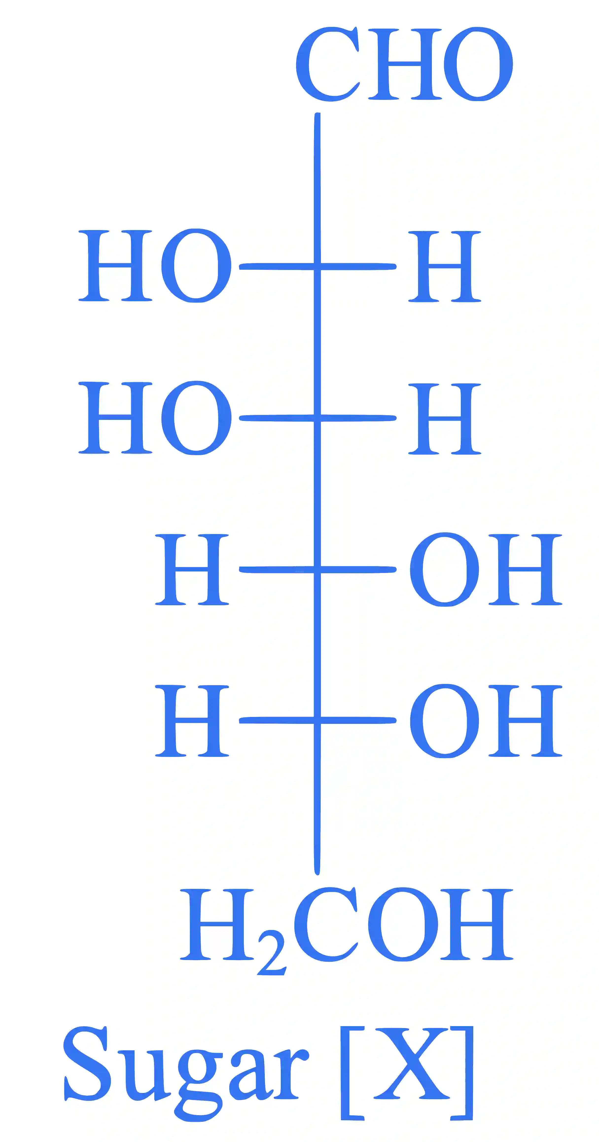 JEE Main 2023 (Online) 1st February Morning Shift Chemistry - Biomolecules Question 54 English