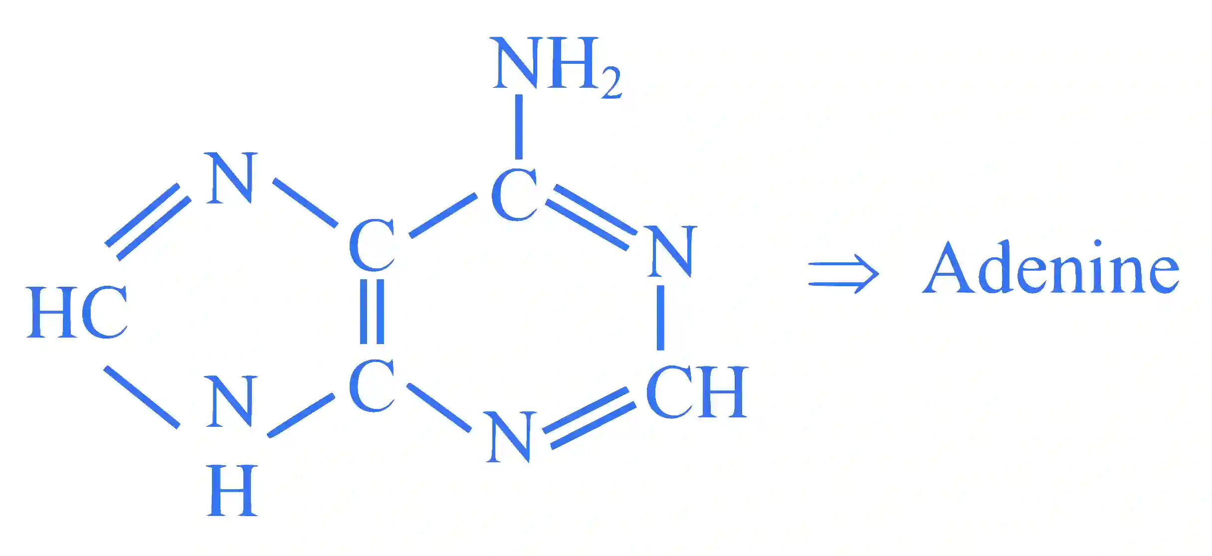 JEE Main 2024 (Online) 6th April Morning Shift Chemistry - Biomolecules Question 12 English Explanation 1