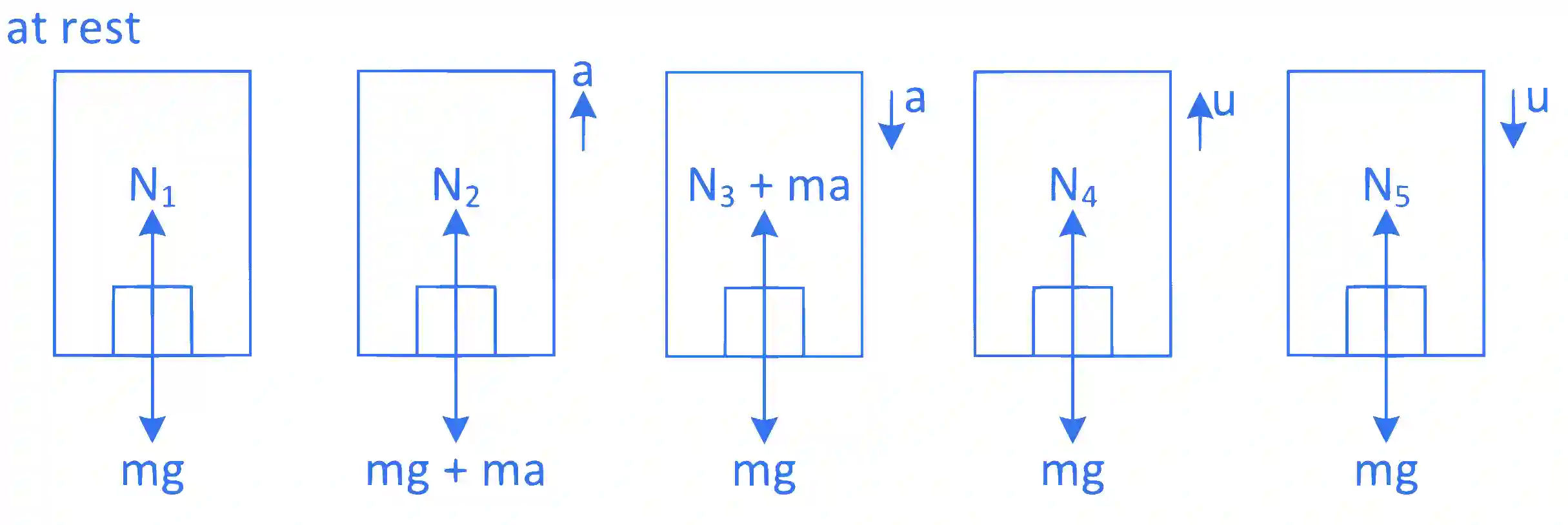 JEE Main 2022 (Online) 26th June Morning Shift Physics - Laws of Motion Question 58 English Explanation