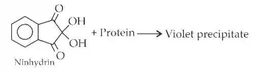 JEE Main 2016 (Online) 10th April Morning Slot Chemistry - Biomolecules Question 142 English Explanation